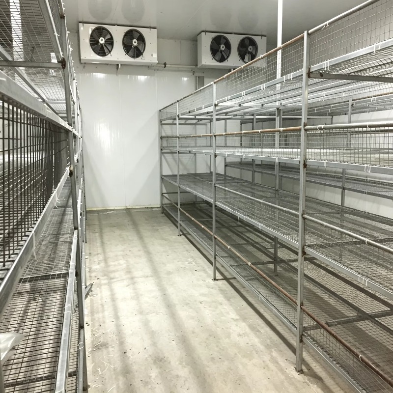 屋内農業都市農業向け自動灌漑システム搭載の水耕栽培コンテナ農 - Urban Farming Hydroponics のレビューと価格